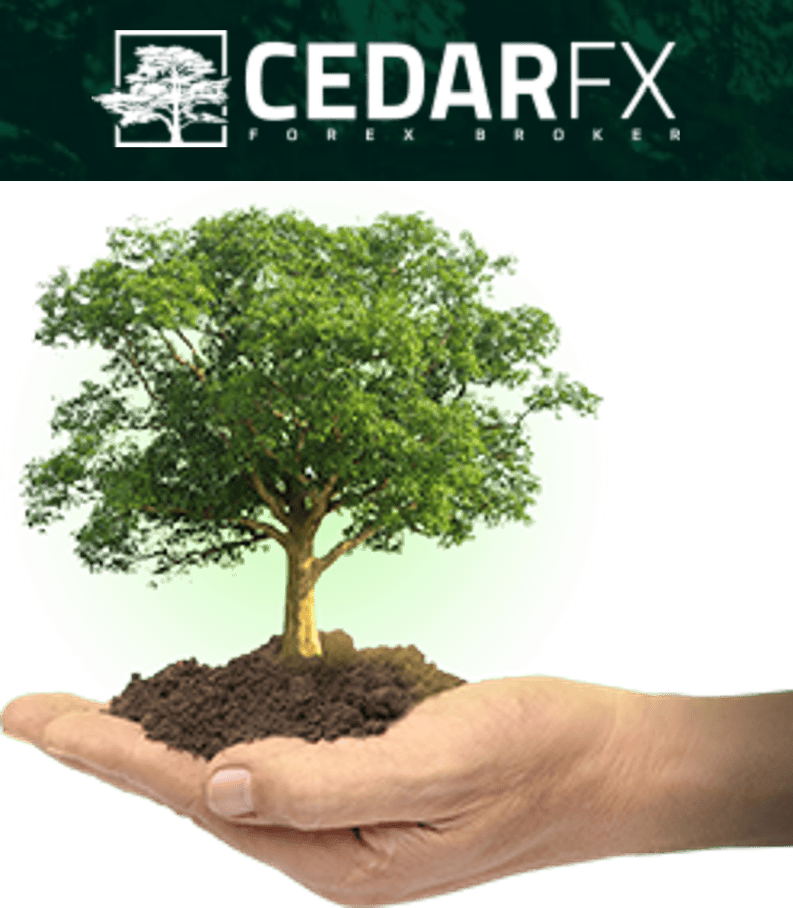 CedarFX presents itself as a green broker