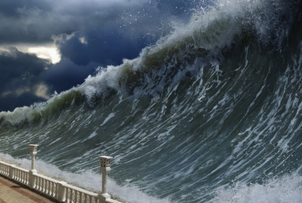 SVB collapse may trigger a bankrupcty tsunami in global startup ecosphere